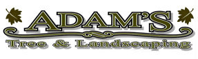 Adam's Tree & Landscaping