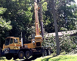 Tree Services Spotsylvania, VA