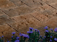 Lafitt™ Paver